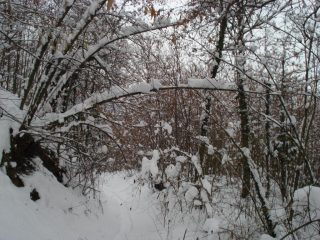 un paesaggio da fiaba