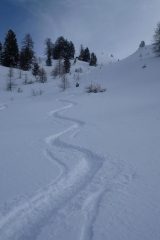 ma cercando bene...ampi spazi vergini!