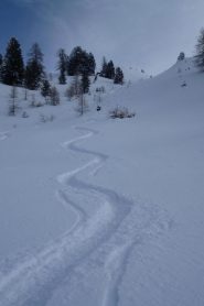 ma cercando bene...ampi spazi vergini!