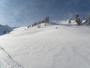 I pendii intonsi...