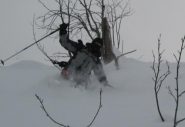 super powder