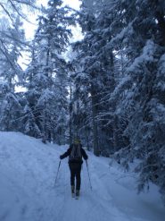 La suggestiva parte iniziale nel bosco