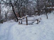 nel bosco