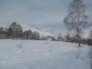 Verso la sommità del Truc delle Piane