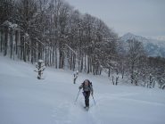 Nel bosco 