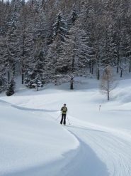 bella discesa nella parte iniziale