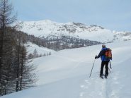 usciti dal bosco