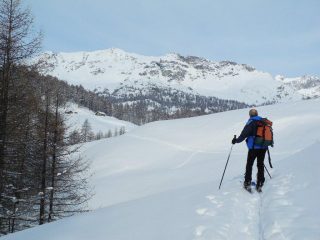usciti dal bosco