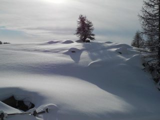 bella neve