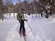 salendo nel bosco