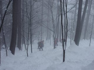 nel bosco in discesa