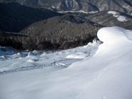 scendendo verso il bosco