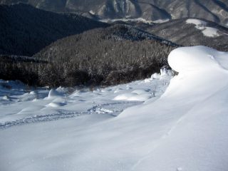 scendendo verso il bosco