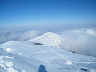 verso nord (pigna)