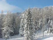 il grande NORD