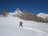 in salita fuori dal bosco