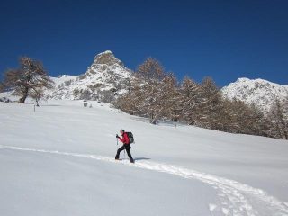in salita fuori dal bosco