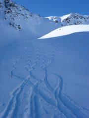 Pennellate nel frigo