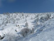 Salendo al Poggio (a sx dove scenderò)