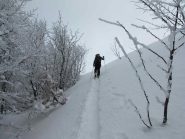tutta tracciata da alberto