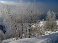 Galaverna in partenza