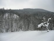Vallone del Rio Auri