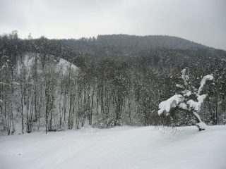 Vallone del Rio Auri