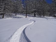 firma in uscita dal bosco