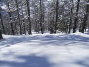 ancora zone libere