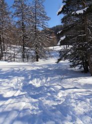 03 - sempre nel vallone, attenzione ai ruscelli sommersi dalla neve, non sempre facili da saltare...