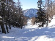 02 - nel vallone tra le piste ad est e quelle ad ovest