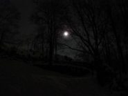 la luna ci accompagna