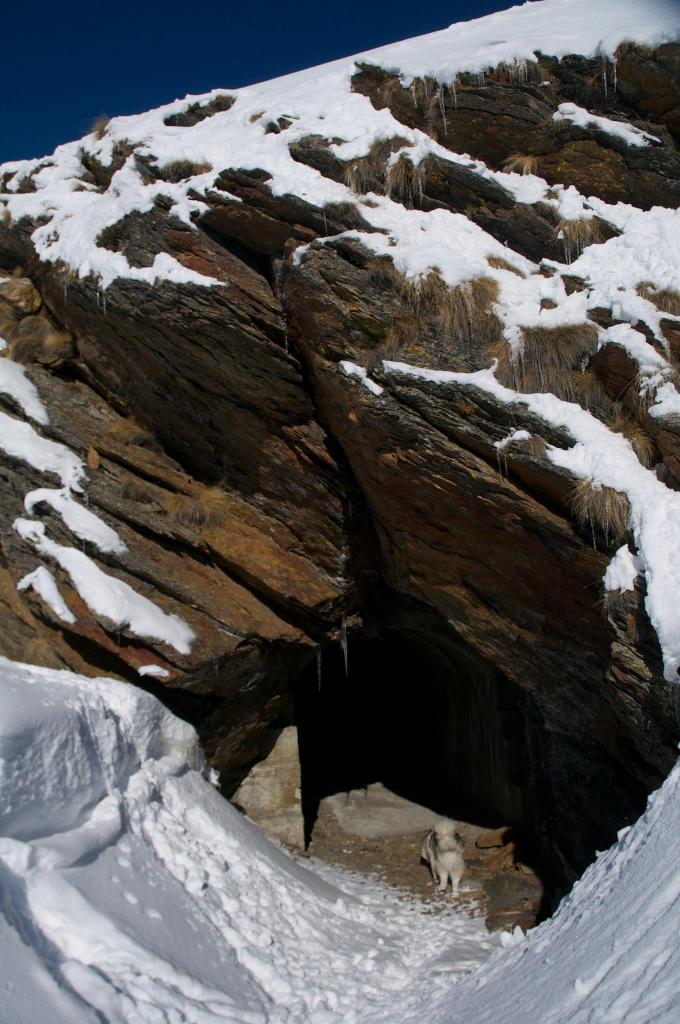 ingresso della batteria di plan puitz