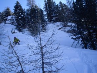 neve fantastica anche nel bosco....