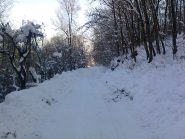 sulla strada 