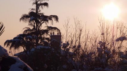 partenza sotto le palme di Saluzzo