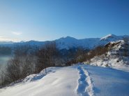 la testa brusa'