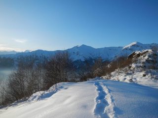 la testa brusa'