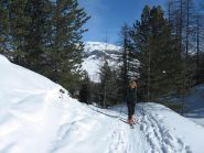 Traccia lungo il sentiero