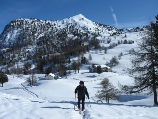 Sopra Gr. Servierettes