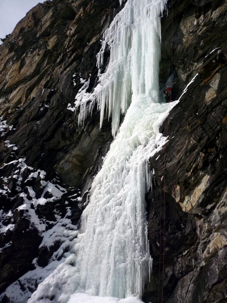 La bellissima linea di Alice in wonderland