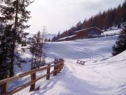 Auener Alm
