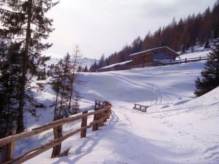Auener Alm