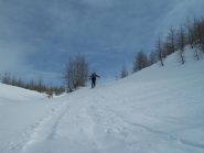 uscendo dal bosco
