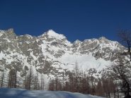 Cervandone