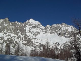 Cervandone