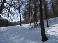 Nel bosco la neve migliore