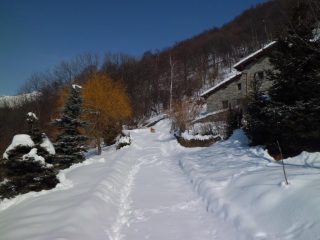 Blinant