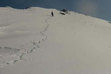 Enrico quasi in punta