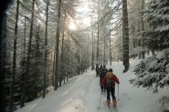 salita nel bosco